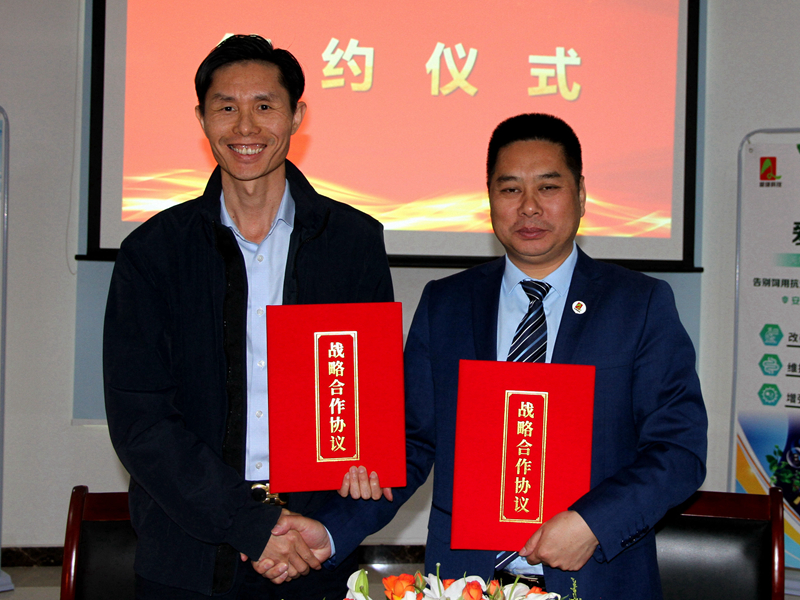 博猫游戏