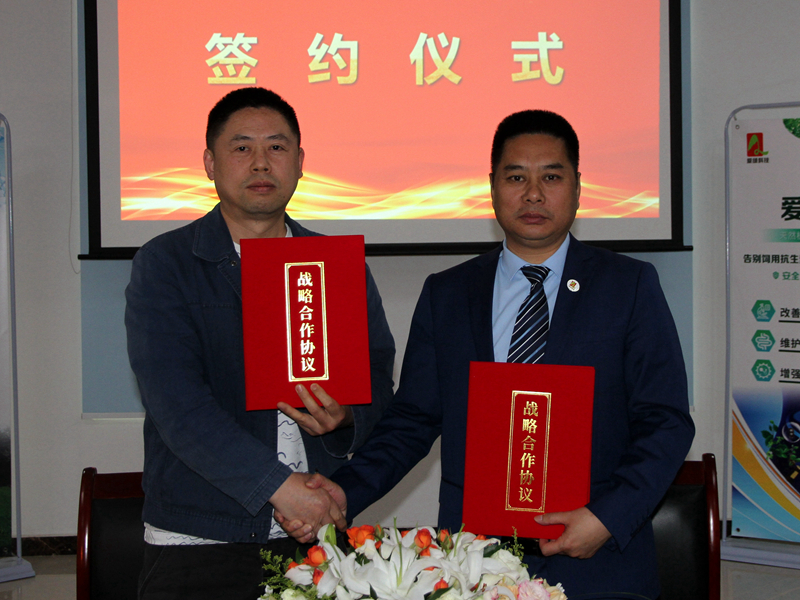 博猫游戏