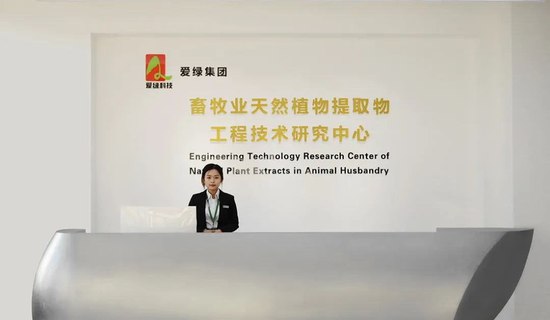 博猫游戏