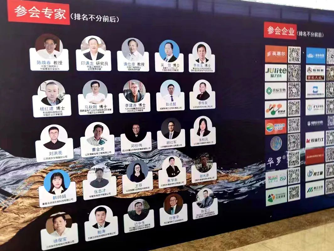 博猫游戏