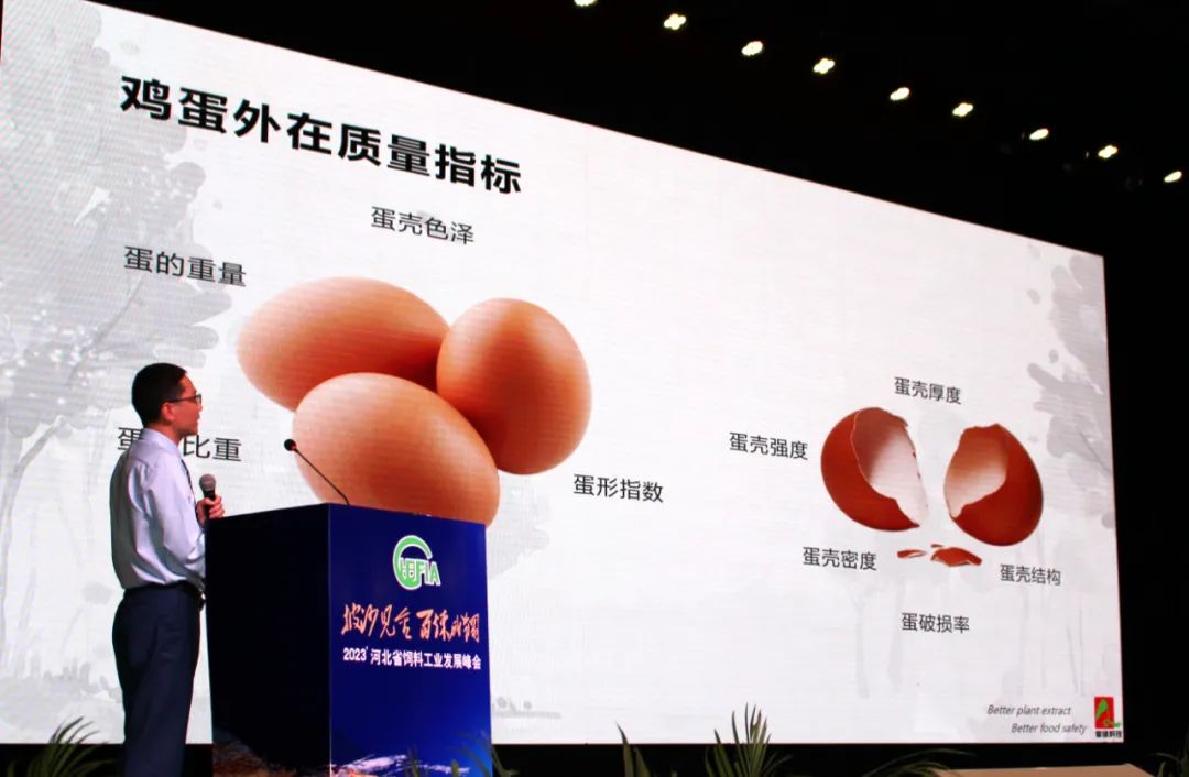 博猫游戏