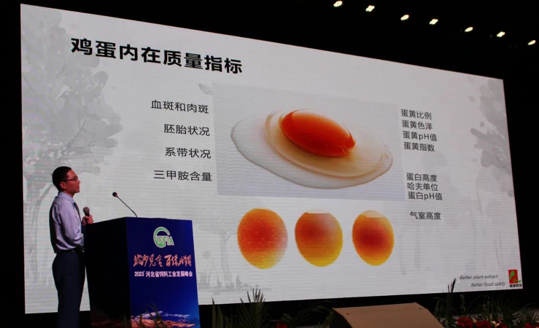 博猫游戏