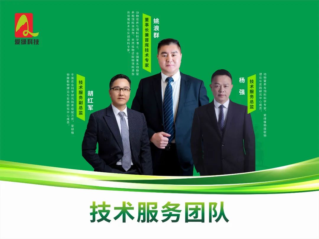 博猫游戏