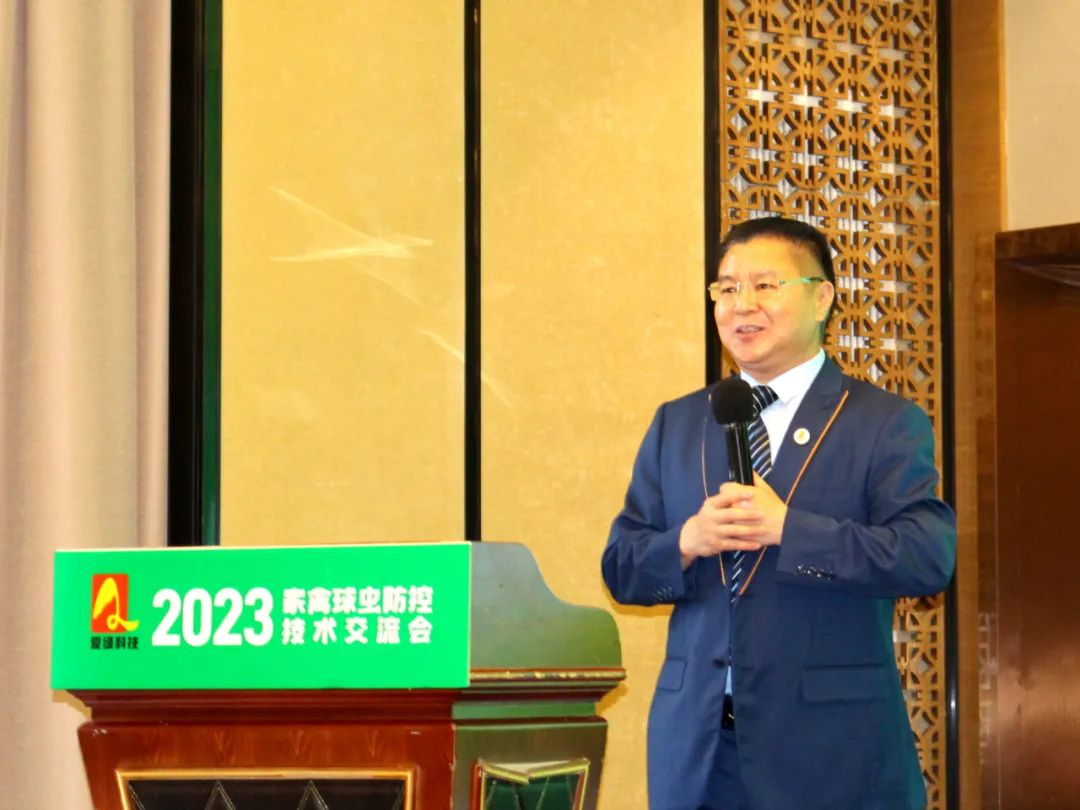 博猫游戏