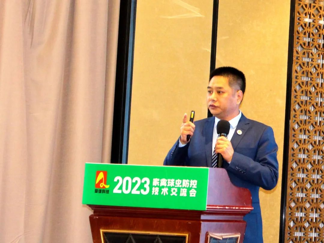博猫游戏