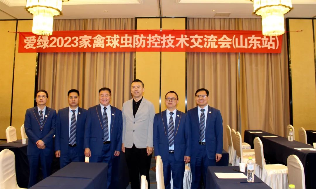 博猫游戏