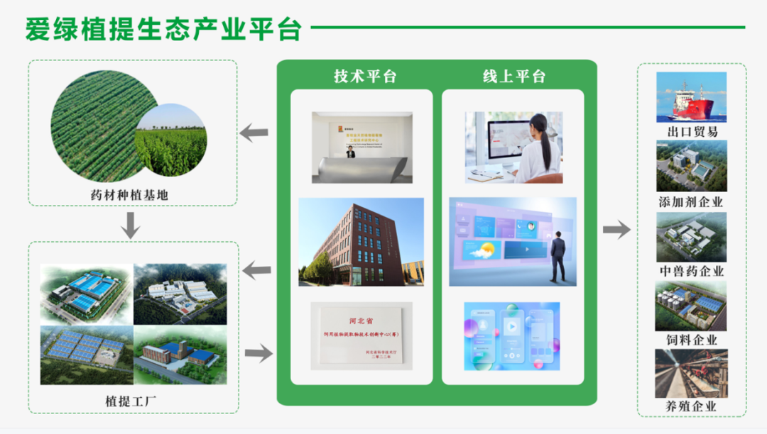 博猫游戏·(中国)官网登录入口