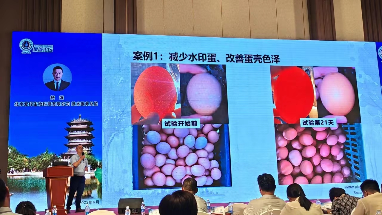博猫游戏·(中国)官网登录入口