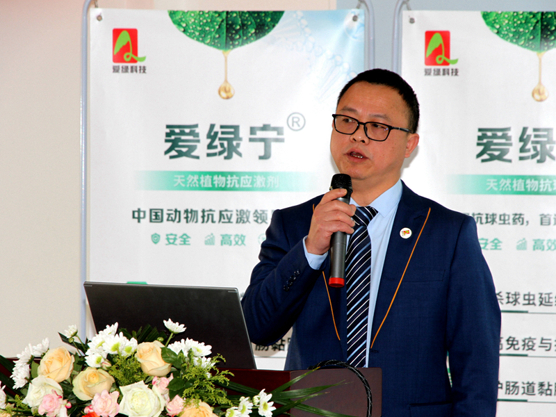 博猫游戏