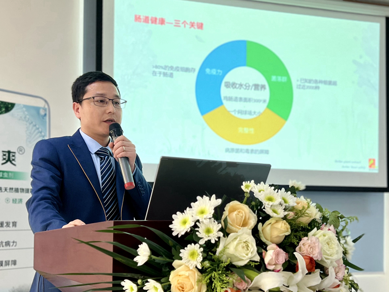博猫游戏
