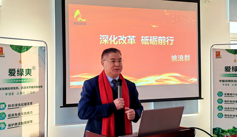 博猫游戏
