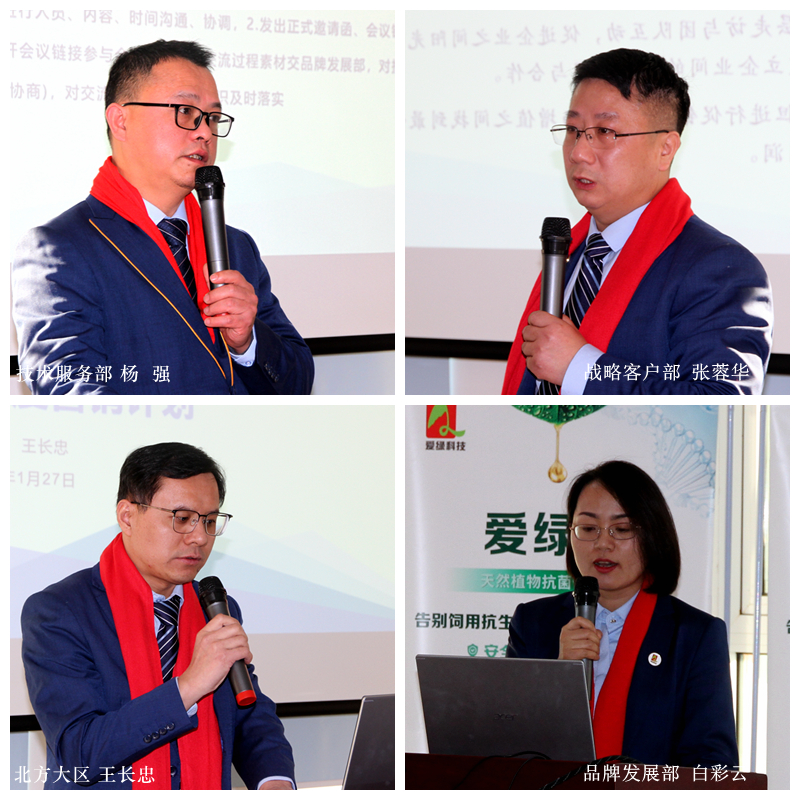 博猫游戏